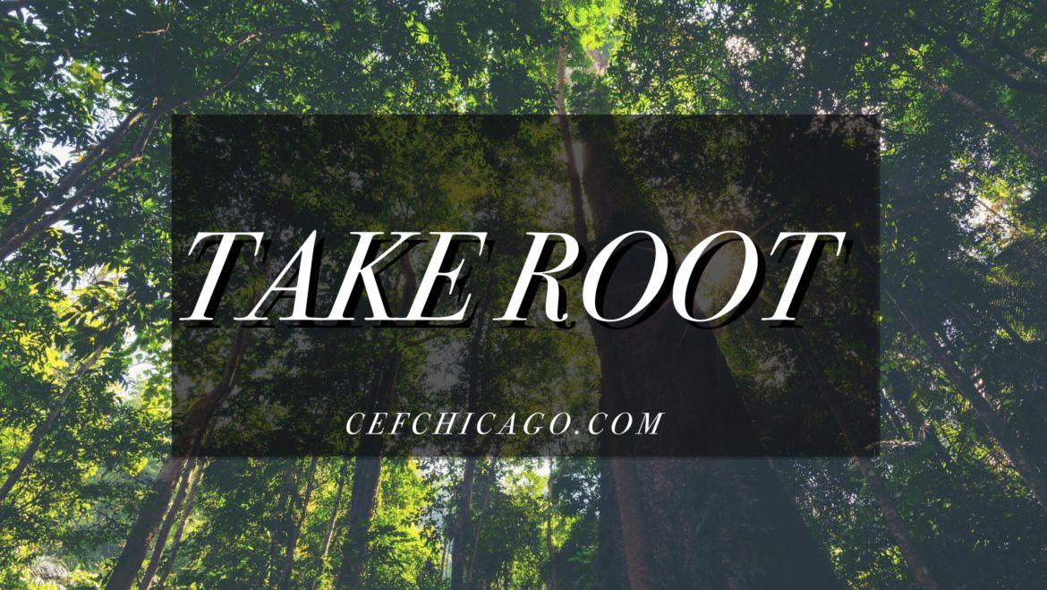 Take Root